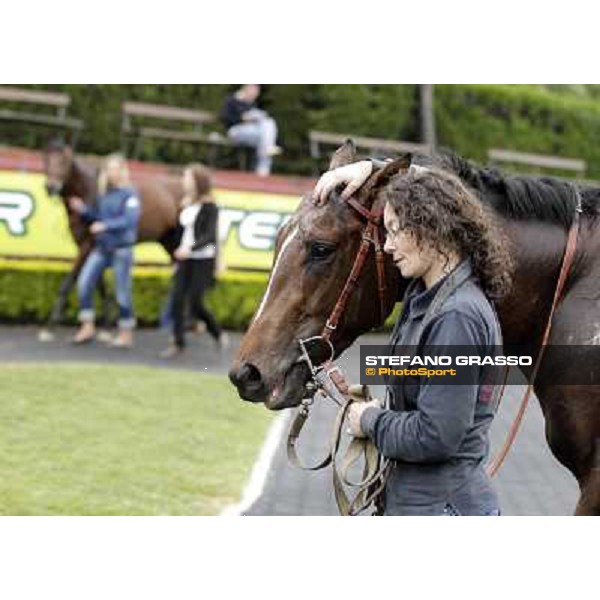 United Color returns home with his groom after winning the Premio Tudini Roma - Capannelle racecourse, 20th may 2012 ph.Stefano Grasso