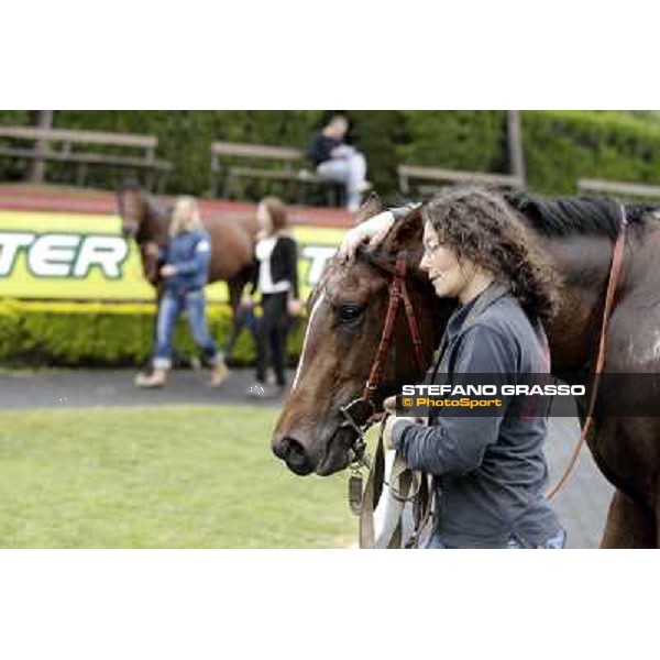 United Color returns home with his groom after winning the Premio Tudini Roma - Capannelle racecourse, 20th may 2012 ph.Stefano Grasso