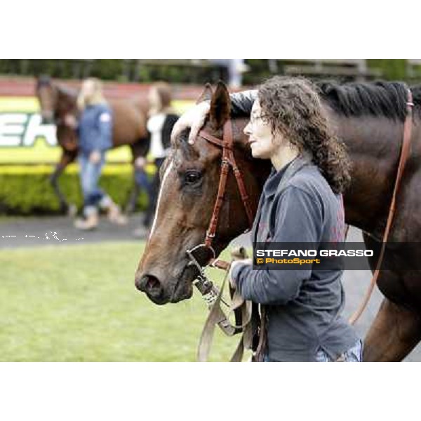 United Color returns home with his groom after winning the Premio Tudini Roma - Capannelle racecourse, 20th may 2012 ph.Stefano Grasso