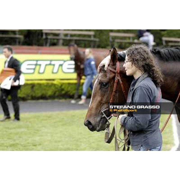 United Color returns home with his groom after winning the Premio Tudini Roma - Capannelle racecourse, 20th may 2012 ph.Stefano Grasso