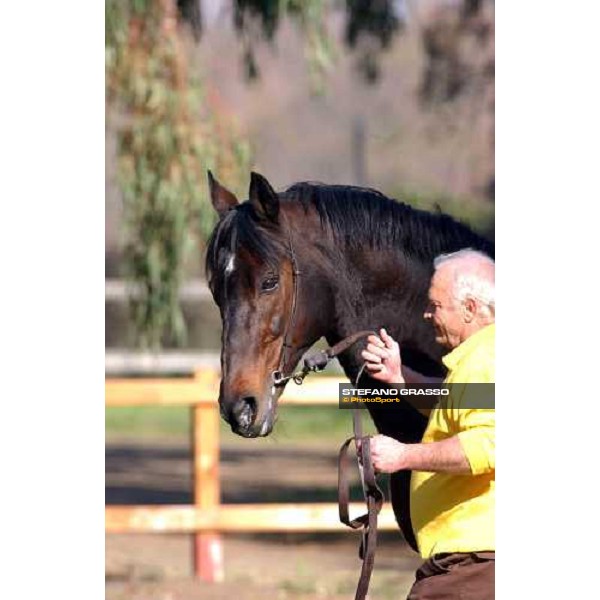 Nordance stallion parade at Ri-Ma Stud Cisterna di Latina, 16th january 2005 ph. Stefano Grasso