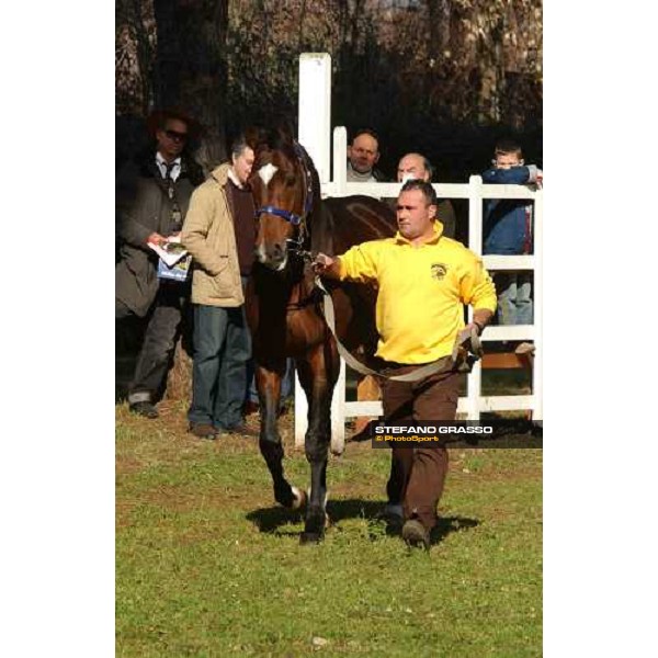 Narrative stallion parade at Ri-Ma Stud Cisterna di Latina, 16th january 2005 ph. Stefano Grasso