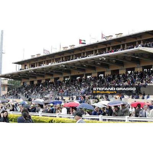 The Grandstand Roma - Capannelle racecourse, 20th may 2012 ph.Stefano Grasso