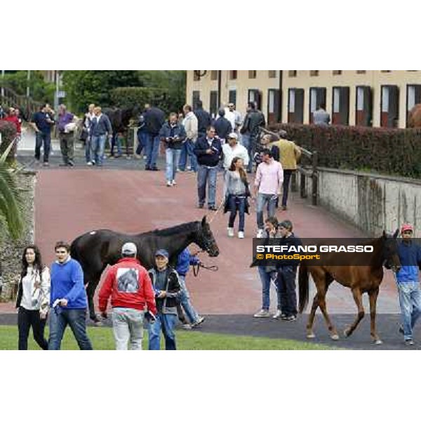 ITS Sales at Capannelle racecourse Roma - Capannelle racecourse, 21st may 2012 ph.Stefano Grasso