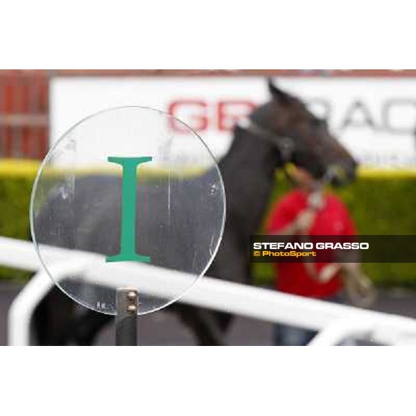 ITS Sales at Capannelle racecourse Roma - Capannelle racecourse, 21st may 2012 ph.Stefano Grasso