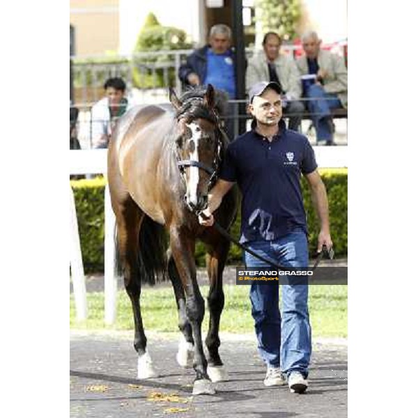 ITS Sales at Capannelle racecourse Freemusic Roma - Capannelle racecourse, 21st may 2012 ph.Stefano Grasso