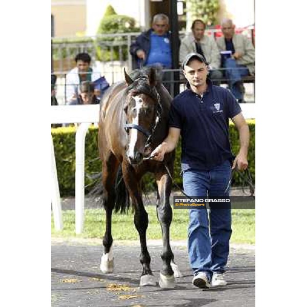 ITS Sales at Capannelle racecourse Freemusic Roma - Capannelle racecourse, 21st may 2012 ph.Stefano Grasso