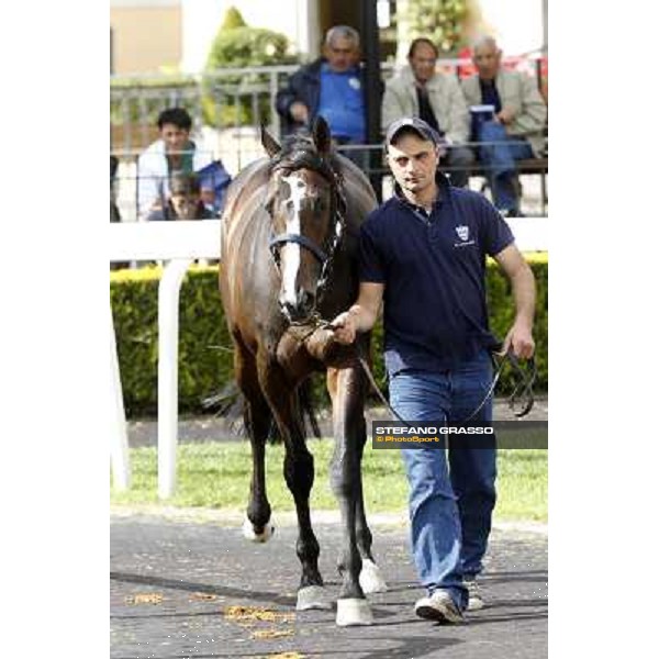 ITS Sales at Capannelle racecourse Freemusic Roma - Capannelle racecourse, 21st may 2012 ph.Stefano Grasso