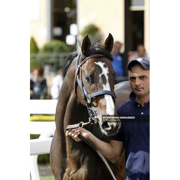 ITS Sales at Capannelle racecourse Freemusic Roma - Capannelle racecourse, 21st may 2012 ph.Stefano Grasso