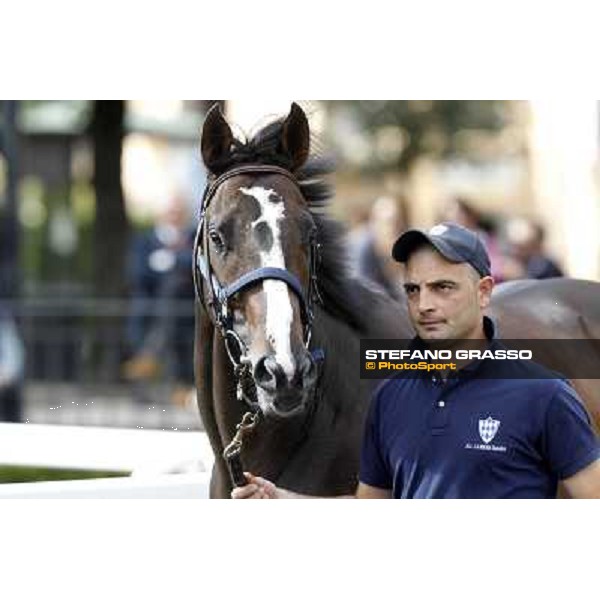 ITS Sales at Capannelle racecourse Freemusic Roma - Capannelle racecourse, 21st may 2012 ph.Stefano Grasso