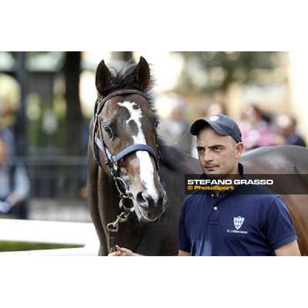 ITS Sales at Capannelle racecourse Freemusic Roma - Capannelle racecourse, 21st may 2012 ph.Stefano Grasso