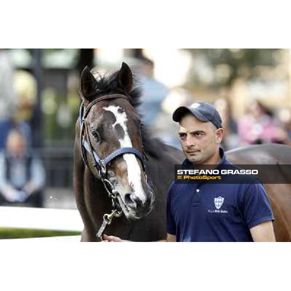 ITS Sales at Capannelle racecourse Freemusic Roma - Capannelle racecourse, 21st may 2012 ph.Stefano Grasso