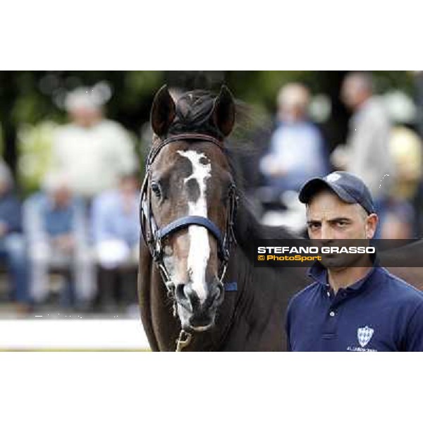 ITS Sales at Capannelle racecourse Freemusic Roma - Capannelle racecourse, 21st may 2012 ph.Stefano Grasso