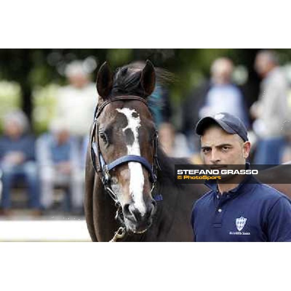 ITS Sales at Capannelle racecourse Freemusic Roma - Capannelle racecourse, 21st may 2012 ph.Stefano Grasso