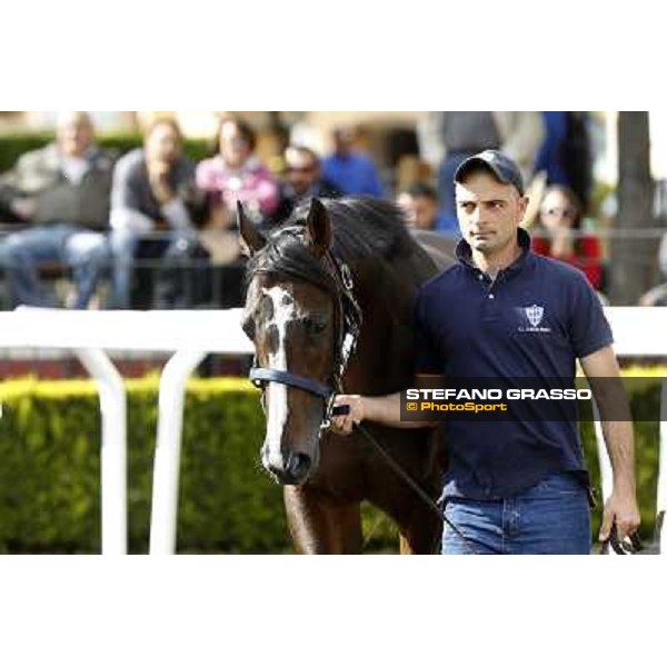 ITS Sales at Capannelle racecourse Freemusic Roma - Capannelle racecourse, 21st may 2012 ph.Stefano Grasso