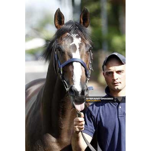 ITS Sales at Capannelle racecourse Freemusic Roma - Capannelle racecourse, 21st may 2012 ph.Stefano Grasso