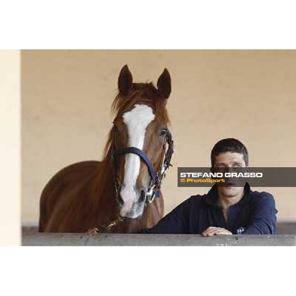 ITS Sales at Capannelle racecourse Roma - Capannelle racecourse, 21st may 2012 ph.Stefano Grasso