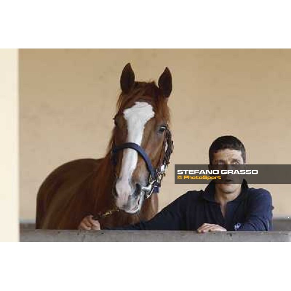 ITS Sales at Capannelle racecourse Roma - Capannelle racecourse, 21st may 2012 ph.Stefano Grasso