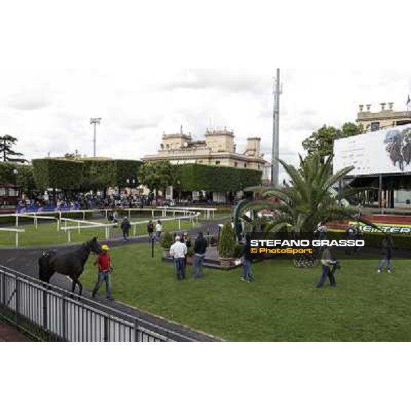 ITS Sales at Capannelle racecourse Roma - Capannelle racecourse, 21st may 2012 ph.Stefano Grasso