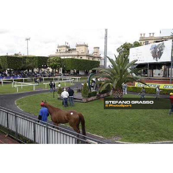 ITS Sales at Capannelle racecourse Roma - Capannelle racecourse, 21st may 2012 ph.Stefano Grasso