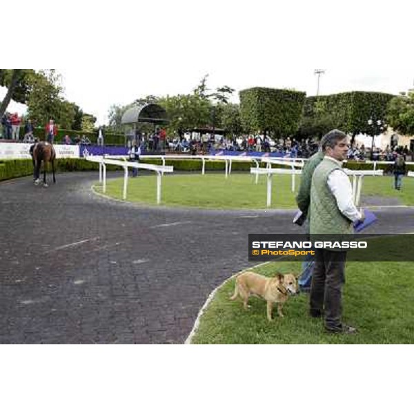 ITS Sales at Capannelle racecourse Mario Masini and Biri Roma - Capannelle racecourse, 21st may 2012 ph.Stefano Grasso