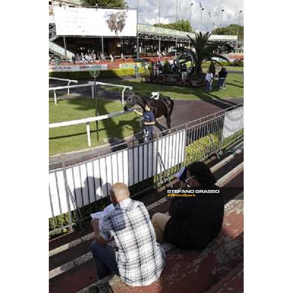 ITS Sales at Capannelle racecourse Roma - Capannelle racecourse, 21st may 2012 ph.Stefano Grasso