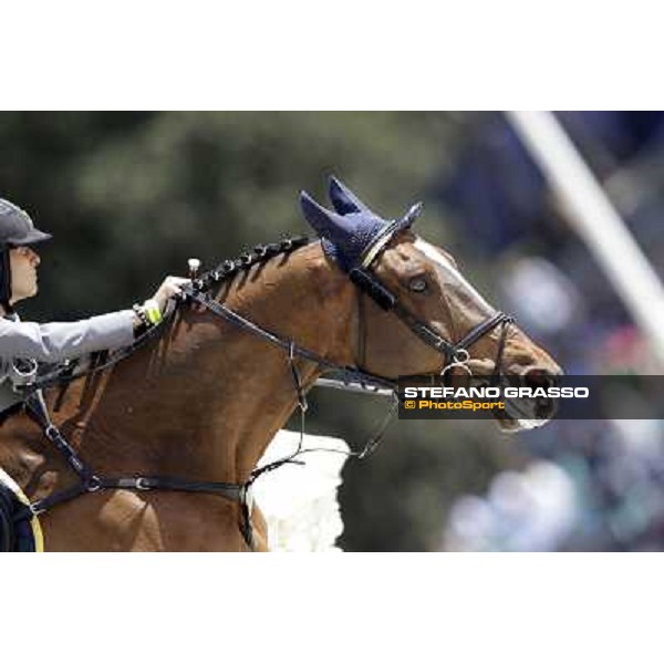 Francesca Capponi on Stallone during the the Nations\' Cup Roma - Villa Borghese - 80° Csio Piazza di Siena, 25th may 2012 ph.Stefano Grasso