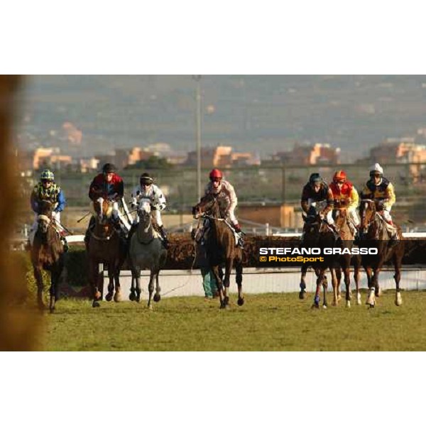 start Premio Anno Nuovo - the winner Grufoso 1st from right Roma Capannelle 15 gennaio 2005 ph. Stefano Grasso