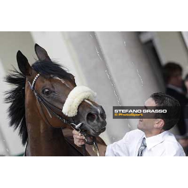 Jonathan Bacci congratulates with Cherry Collect after winning the Oaks d\'Italia Milano - San Siro racecourse, 26th may 2012 ph.Stefano Grasso