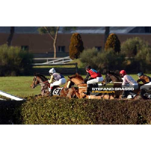 Grufoso leads in the Premio Anno nuovo Roma Capannelle 15 gennaio 2005 ph. Stefano Grasso
