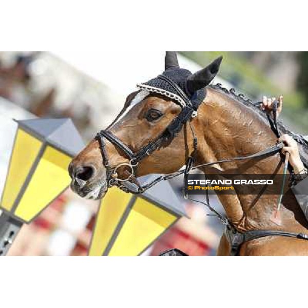 Francesca Capponi and Stallone Gran Premio Città di Roma Loro Piana Roma - Villa Borghese - 80° Csio Piazza di Siena,27th may 2012 ph.Stefano Grasso