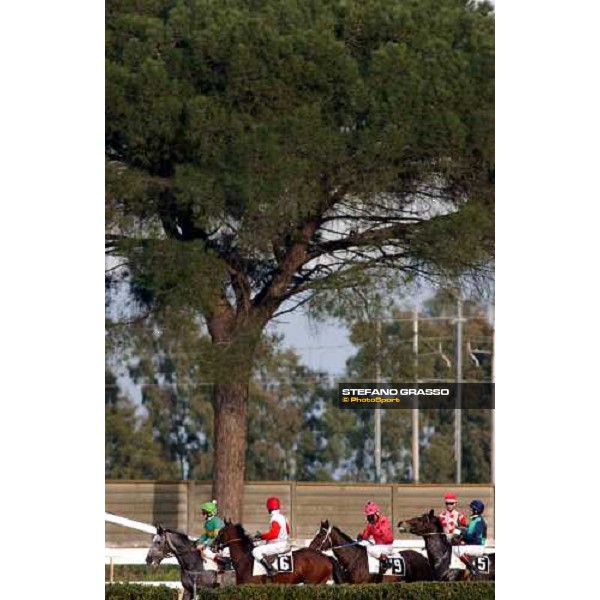 Roma Capannelle 15 gennaio 2005 ph. Stefano Grasso