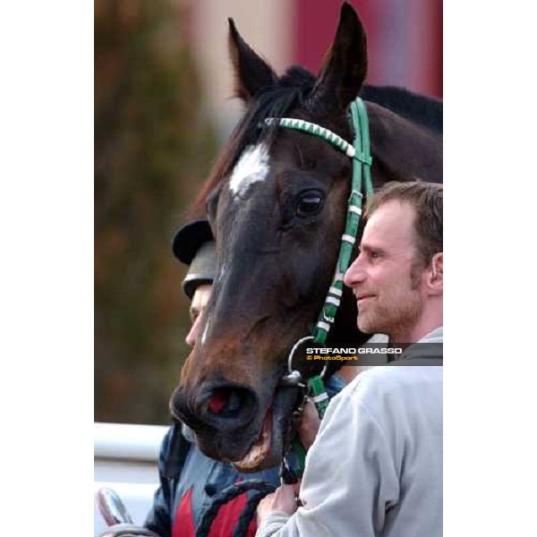 close up for Niklas winner of Premio Antonio Spinetti Roma Capannelle 15 gennaio 2005 ph. Stefano Grasso