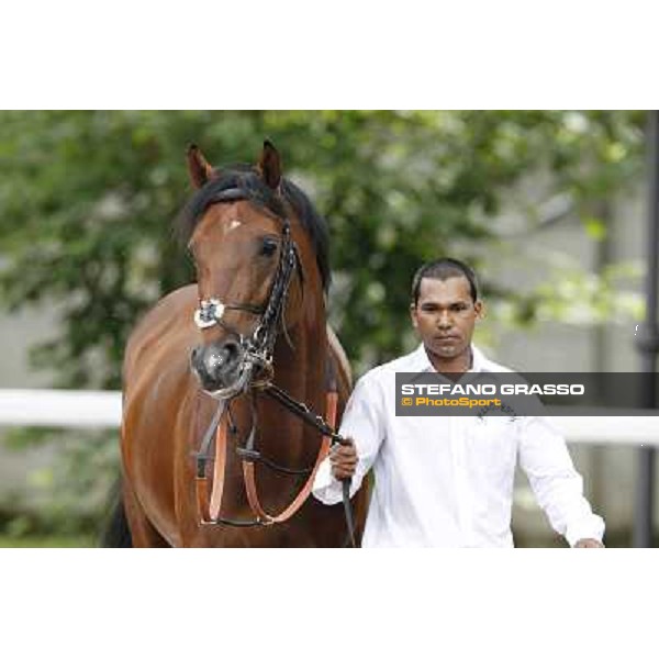 Joshua Tree Gran Premio di Milano - Trofeo Snai Milano - San Siro galopp racecourse,10th june 2012 ph.Stefano Grasso