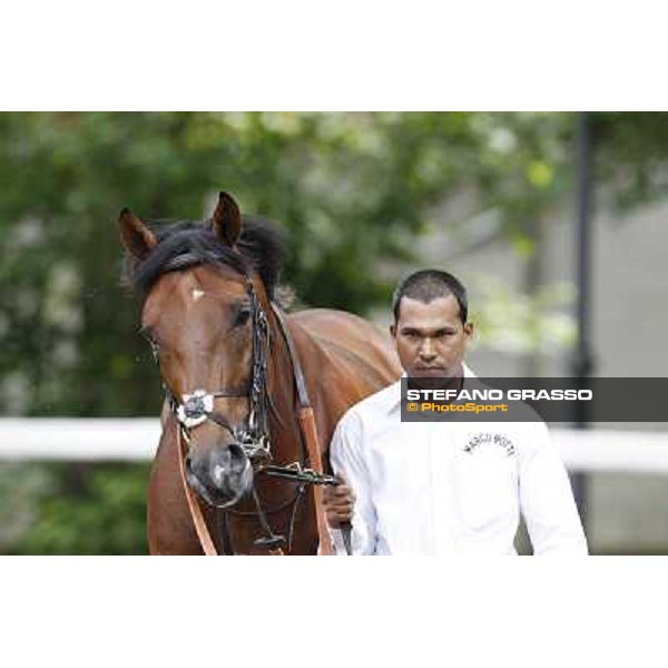 Joshua Tree Gran Premio di Milano - Trofeo Snai Milano - San Siro galopp racecourse,10th june 2012 ph.Stefano Grasso