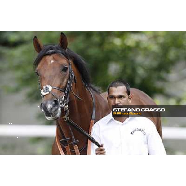 Joshua Tree Gran Premio di Milano - Trofeo Snai Milano - San Siro galopp racecourse,10th june 2012 ph.Stefano Grasso