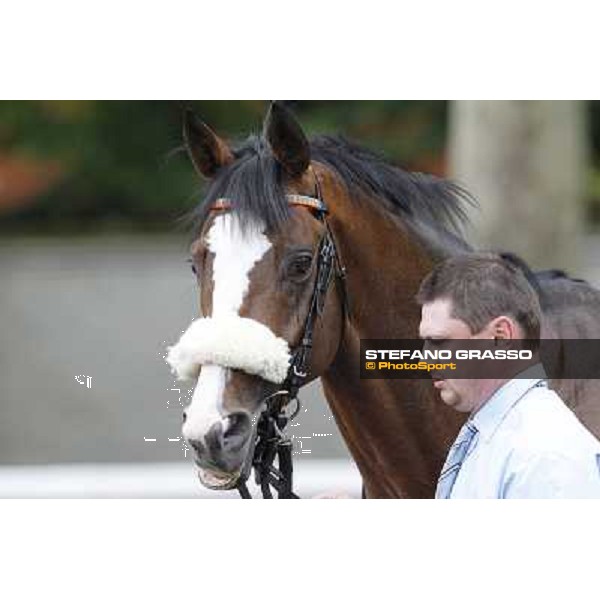 Earl of Tinsdal Gran Premio di Milano - Trofeo Snai Milano - San Siro galopp racecourse,10th june 2012 ph.Stefano Grasso