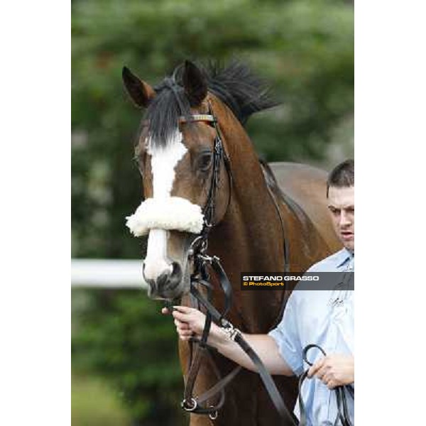 Earl of Tinsdal Gran Premio di Milano - Trofeo Snai Milano - San Siro galopp racecourse,10th june 2012 ph.Stefano Grasso