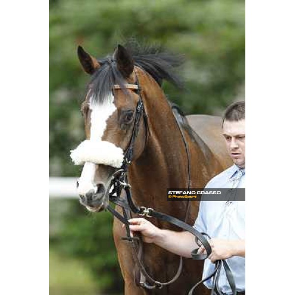 Earl of Tinsdal Gran Premio di Milano - Trofeo Snai Milano - San Siro galopp racecourse,10th june 2012 ph.Stefano Grasso