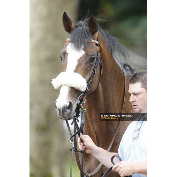 Earl of Tinsdal Gran Premio di Milano - Trofeo Snai Milano - San Siro galopp racecourse,10th june 2012 ph.Stefano Grasso