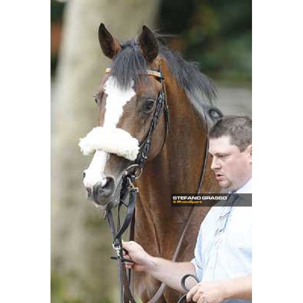 Earl of Tinsdal Gran Premio di Milano - Trofeo Snai Milano - San Siro galopp racecourse,10th june 2012 ph.Stefano Grasso