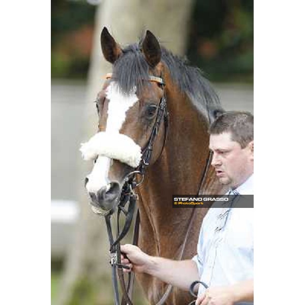 Earl of Tinsdal Gran Premio di Milano - Trofeo Snai Milano - San Siro galopp racecourse,10th june 2012 ph.Stefano Grasso