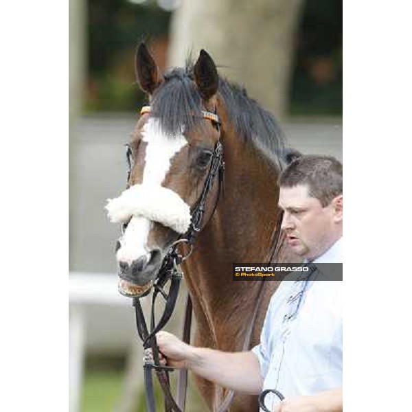 Earl of Tinsdal Gran Premio di Milano - Trofeo Snai Milano - San Siro galopp racecourse,10th june 2012 ph.Stefano Grasso