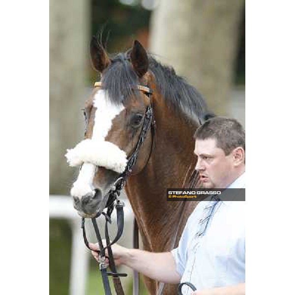 Earl of Tinsdal Gran Premio di Milano - Trofeo Snai Milano - San Siro galopp racecourse,10th june 2012 ph.Stefano Grasso