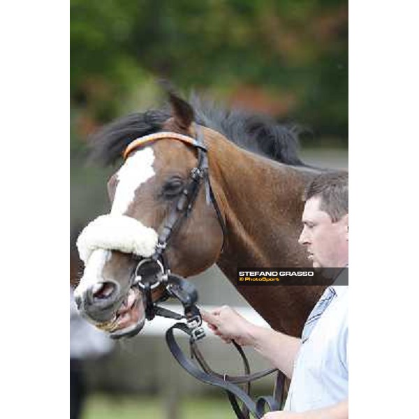 Earl of Tinsdal Gran Premio di Milano - Trofeo Snai Milano - San Siro galopp racecourse,10th june 2012 ph.Stefano Grasso