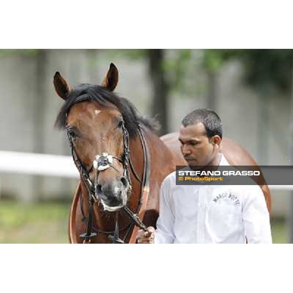 Joshua Tree Gran Premio di Milano - Trofeo Snai Milano - San Siro galopp racecourse,10th june 2012 ph.Stefano Grasso