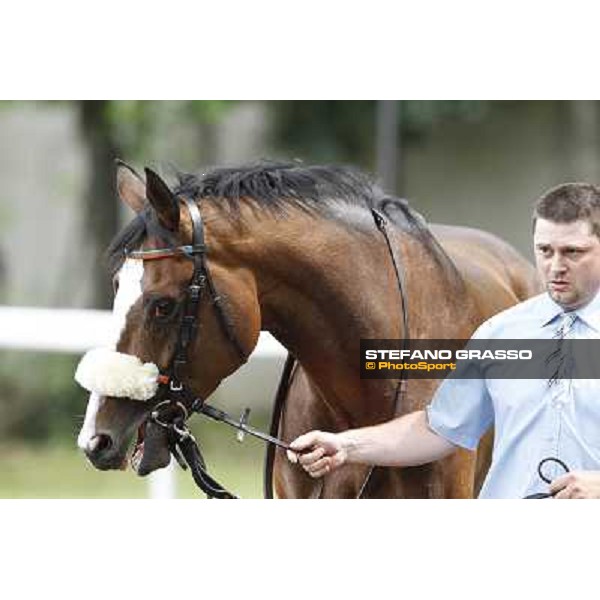 Earl of Tinsdal Gran Premio di Milano - Trofeo Snai Milano - San Siro galopp racecourse,10th june 2012 ph.Stefano Grasso