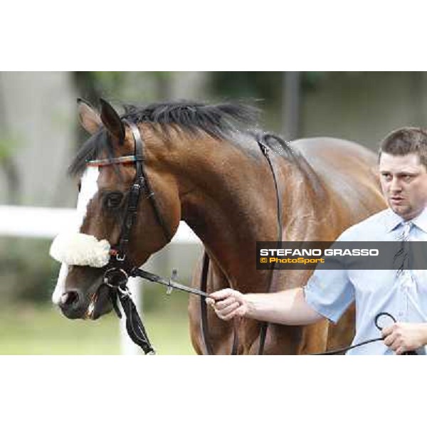 Earl of Tinsdal Gran Premio di Milano - Trofeo Snai Milano - San Siro galopp racecourse,10th june 2012 ph.Stefano Grasso