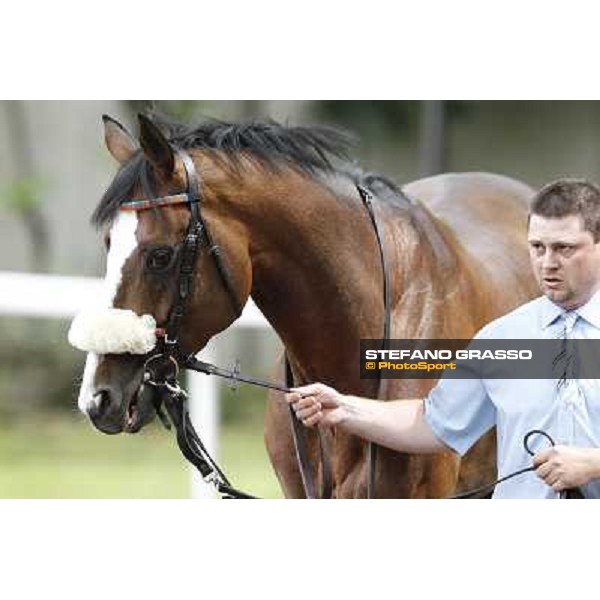 Earl of Tinsdal Gran Premio di Milano - Trofeo Snai Milano - San Siro galopp racecourse,10th june 2012 ph.Stefano Grasso