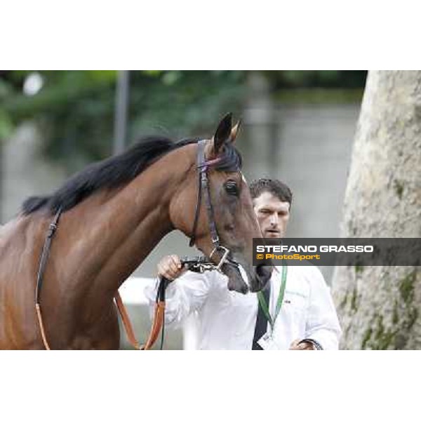 Quiza Quiza Quiza Gran Premio di Milano - Trofeo Snai Milano - San Siro galopp racecourse,10th june 2012 ph.Stefano Grasso